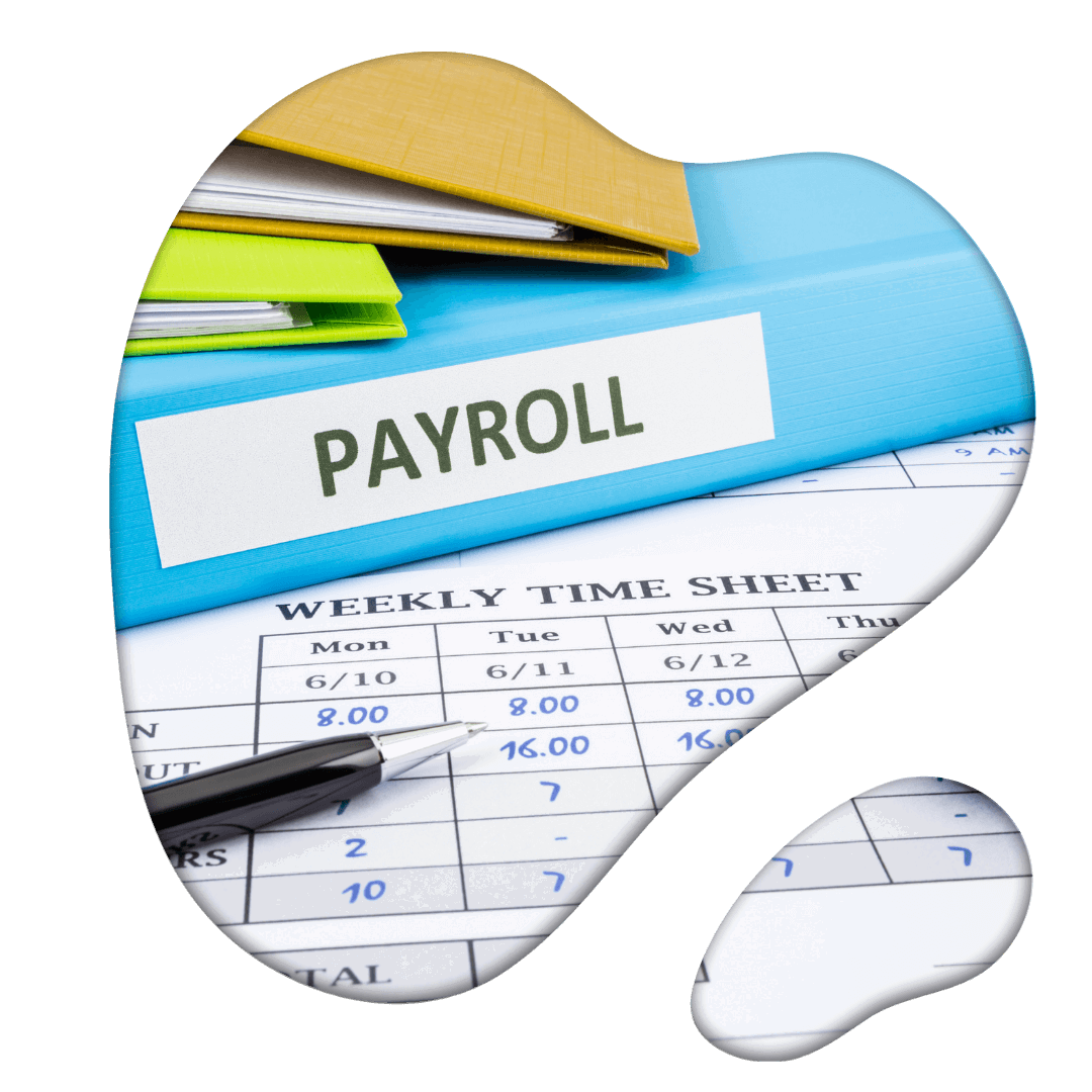 Payroll Management Software