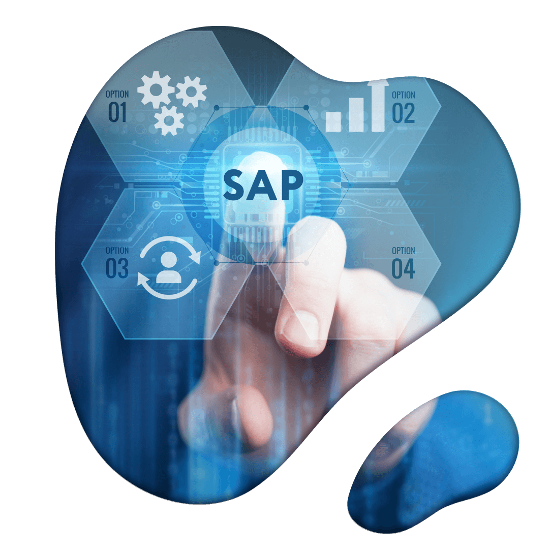 SAP Integration Company